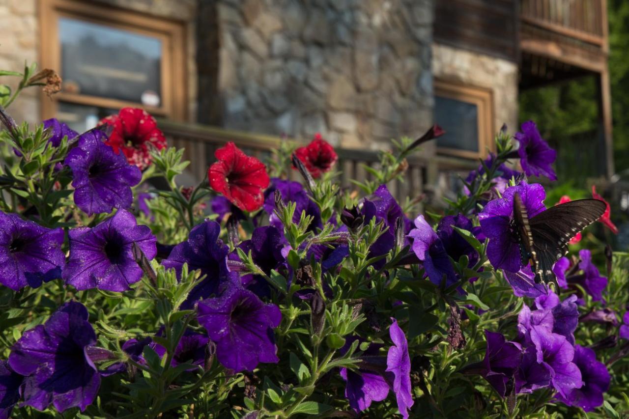 Springmaid Mountain Villa Spruce Pine Exterior photo